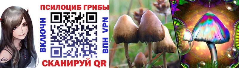 Псилоцибиновые грибы MAGIC MUSHROOMS  Асбест 